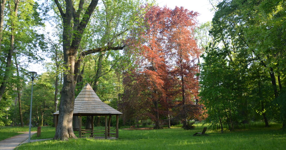 Park pri zámku Pezinok